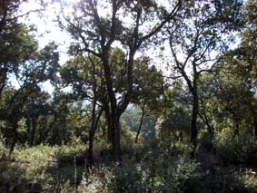 Naturparken, snart ett minne blott!