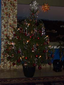 Morgonm�rkret r�der...