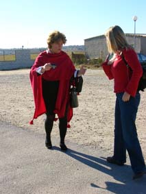 P� svinstians parkering