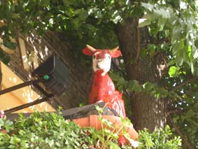 Red Cow