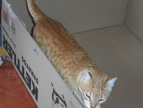 Sp&auml;nnande l&aring;da
