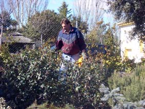 H�r skall vi bygga en pergola