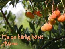 Ha en h&auml;rlig h&ouml;st!