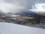 Bergsvy